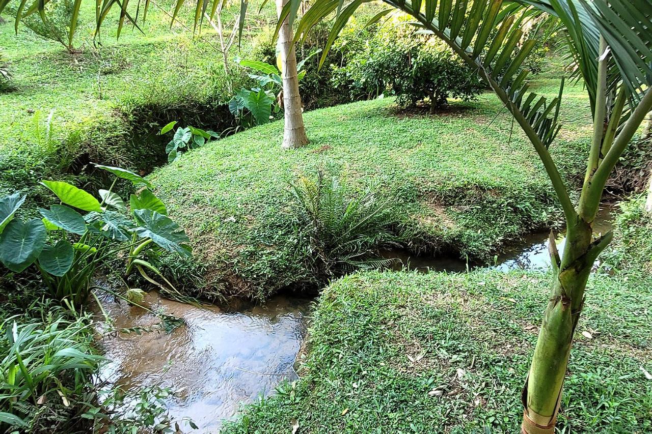 Recanto Dos Sabias - Chales Sao Bonifacio Sc Zewnętrze zdjęcie