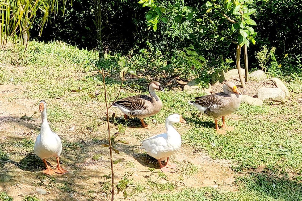 Recanto Dos Sabias - Chales Sao Bonifacio Sc Zewnętrze zdjęcie